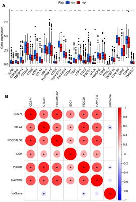 Identification of Alternative Splicing-Related Genes CYB561 and FOLH1 in the Tumor-Immune Microenvironment for Endometrial Cancer Based on TCGA Data Analysis